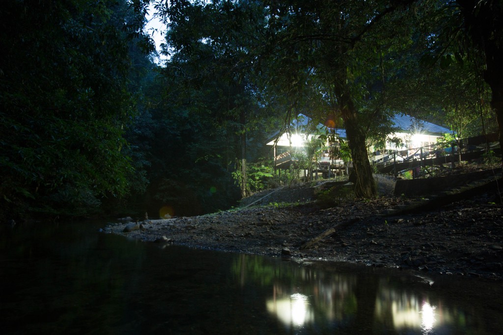 Base Camp, Long Setulang Tane Olen - Martin Holland